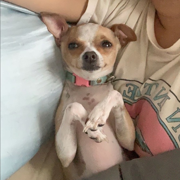 Meet your Posher, Zoë - Picture 3 of 8